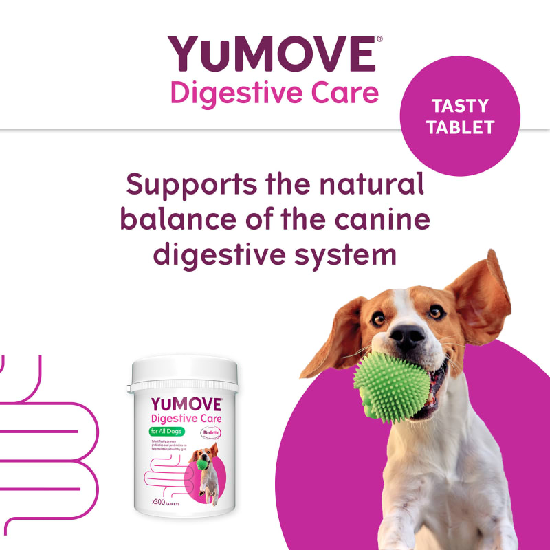 YuDIGEST Digestive Health Supplement Pet Supermarket