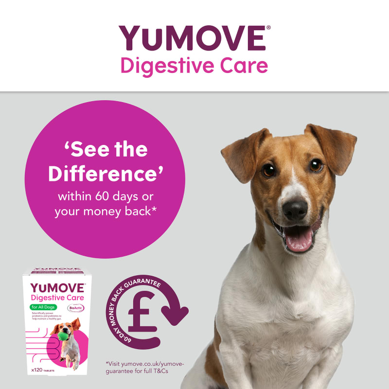 Yumove advance for dogs uk on sale