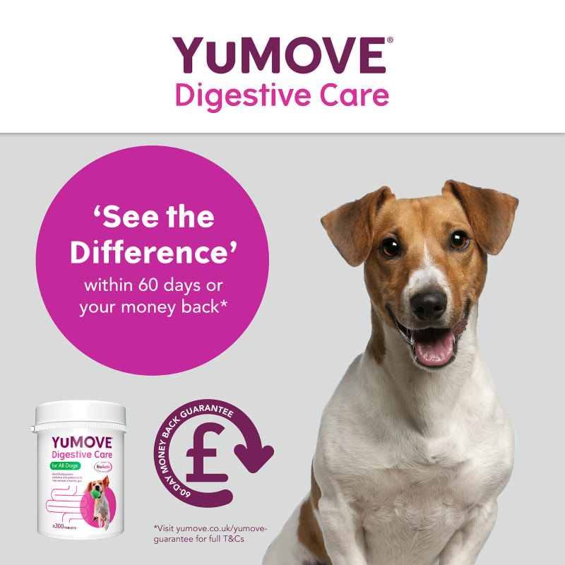Yumove advance pets at home outlet