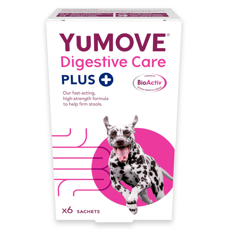 Yumove plus sales dog