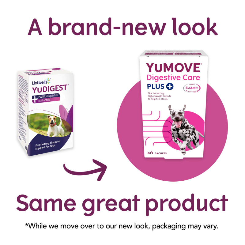 Lintbells yudigest dog sales