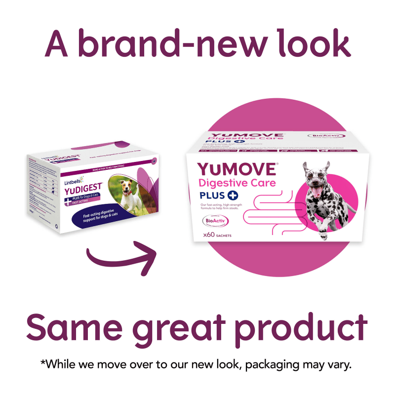 YuMOVE Digestive Care Plus Dog Pet Supermarket