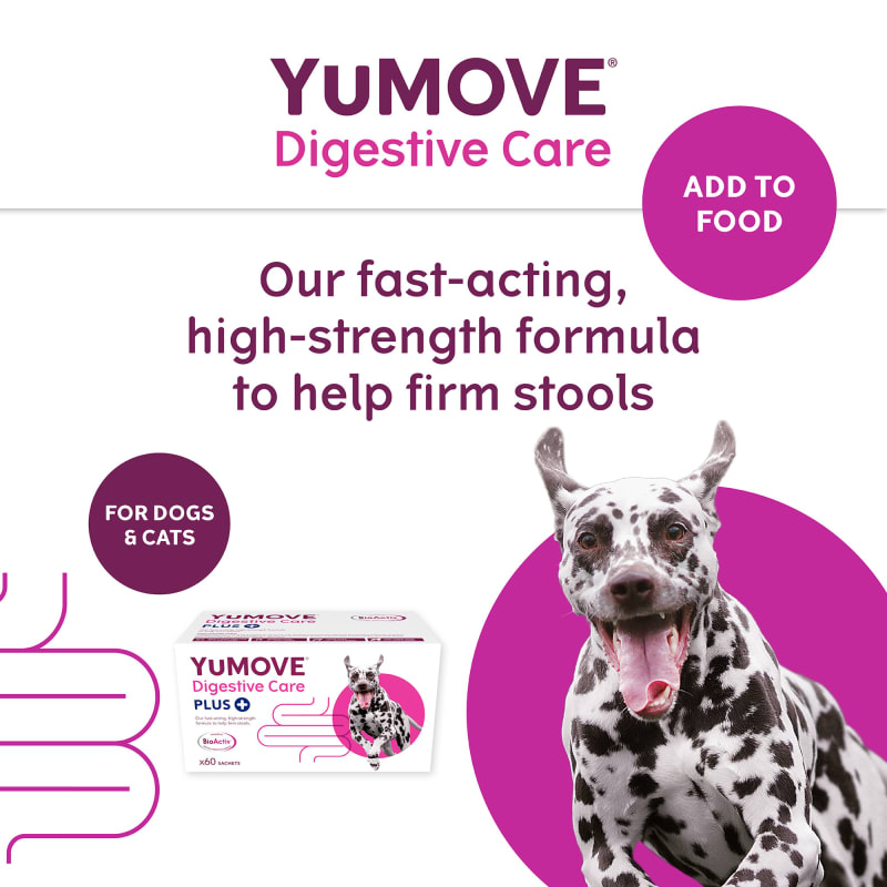 YuMOVE Digestive Care Plus Dog Pet Supermarket