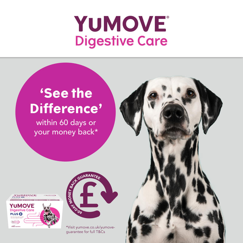 YuMOVE Digestive Care Plus Dog Pet Supermarket