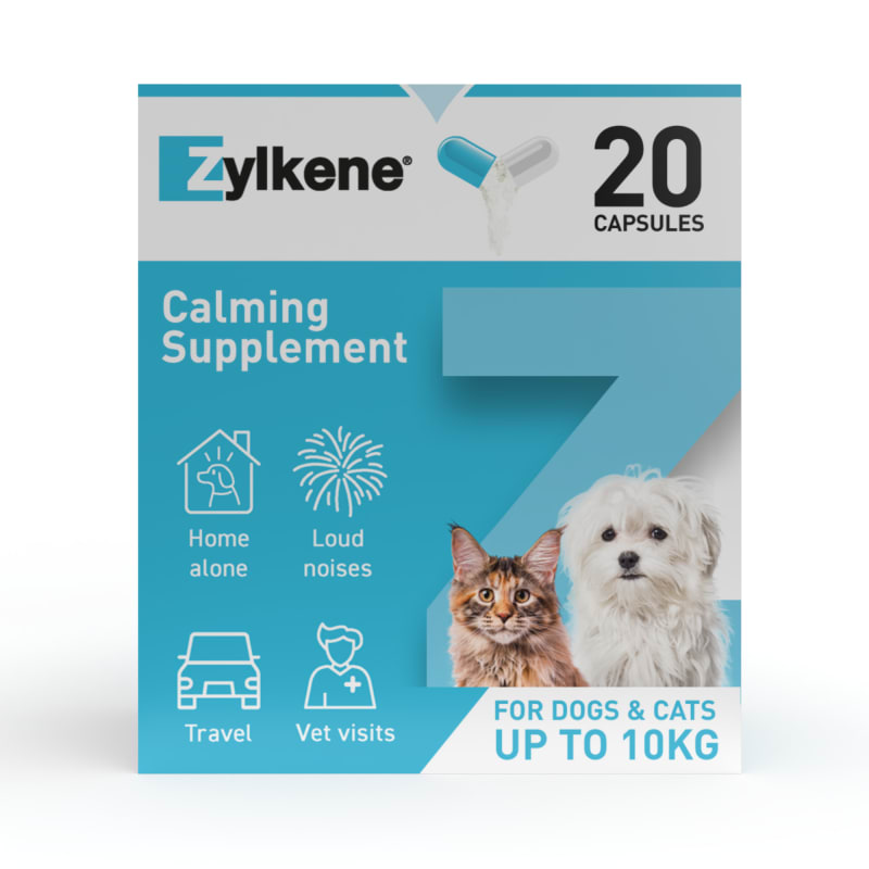 Zylkene Calming Supplement for Cats Pet Supermarket