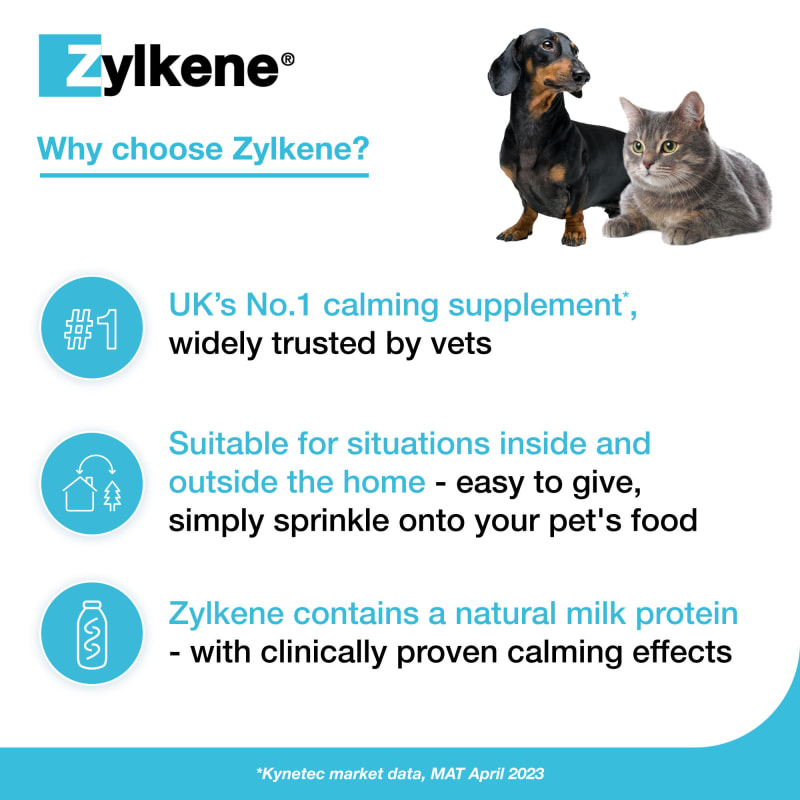 Milk protein for dogs anxiety outlet