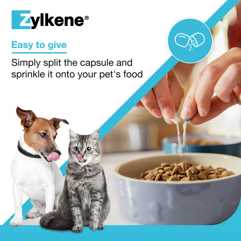 Milk protein for dogs anxiety discount