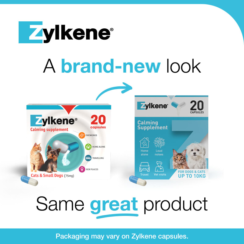 Zylkene Calming Capsules for Dogs Pet Supermarket