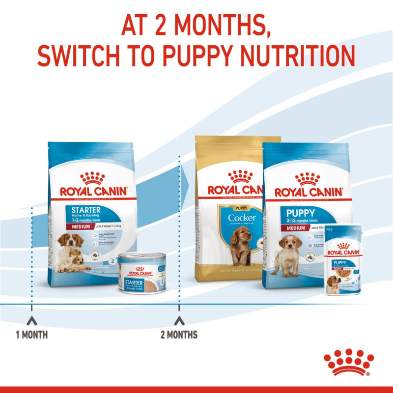 Royal canin store starter for puppy