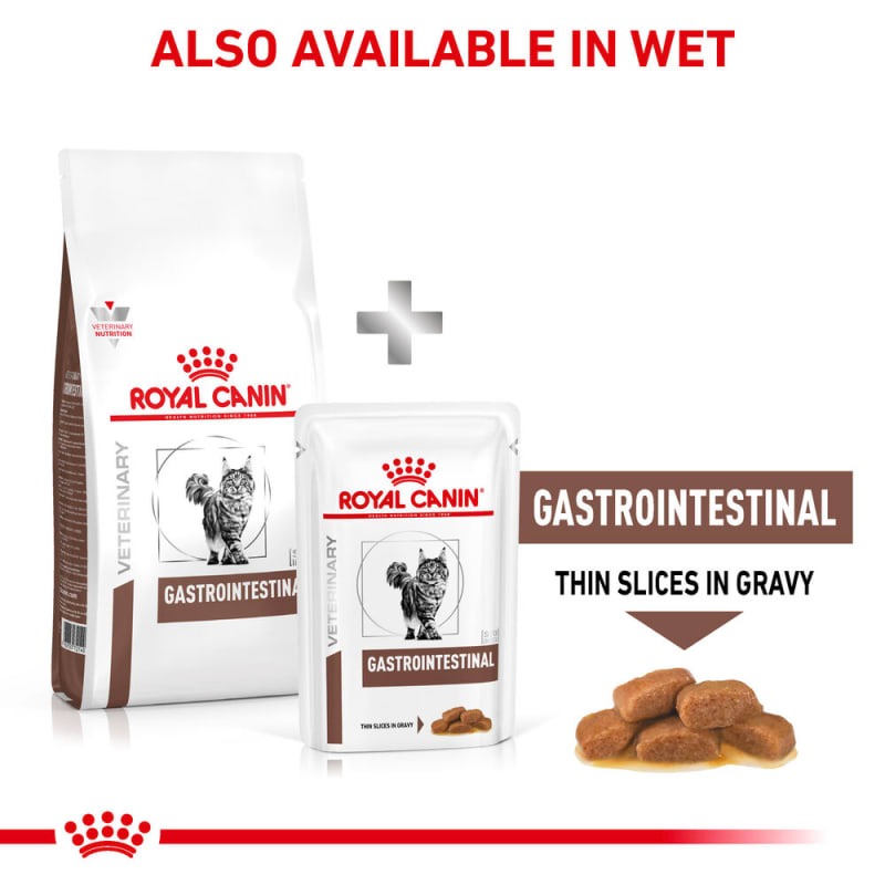 Royal canin gi high energy cat food 2025