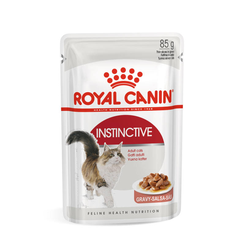 Can cats eat gravy hot sale