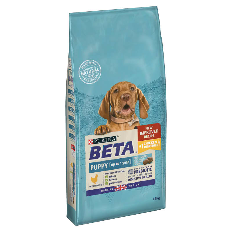 Purina dog food good cheap