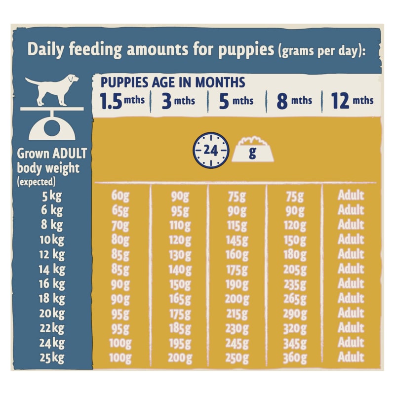 Purina Beta Puppy Dry Dog Food Pet Supermarket