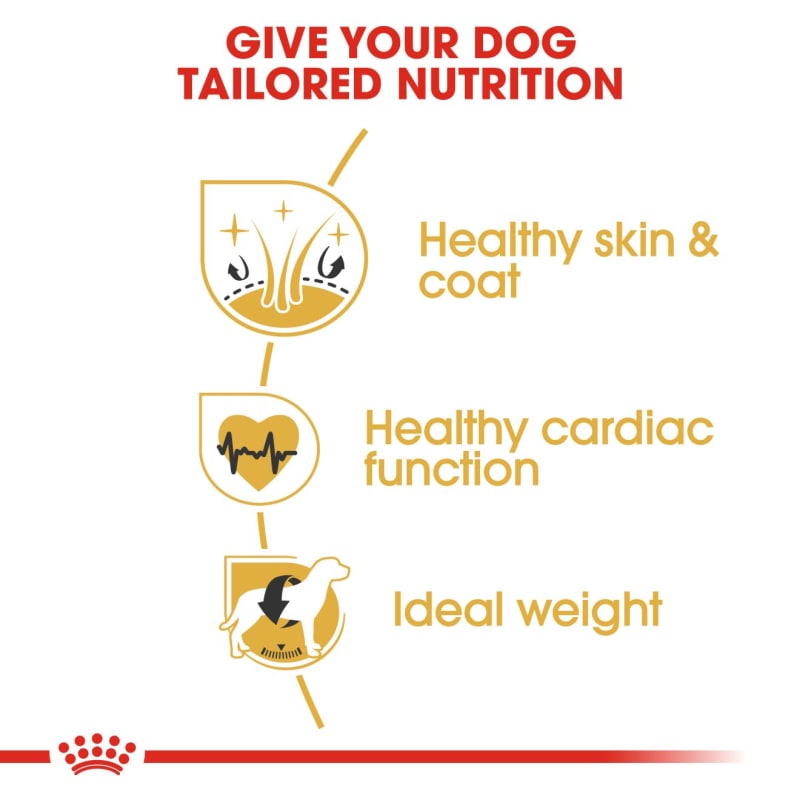 Royal Canin Breed Health Nutrition Pet Supermarket