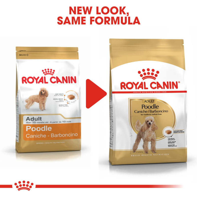 Royal canin shop mini poodle