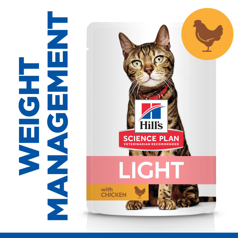 Low calorie canned cat food sales