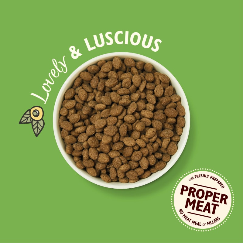 Lily s Kitchen Shepherds Pie Adult Pet Supermarket