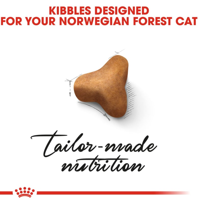 Royal canin norwegian on sale forest cat 10kg