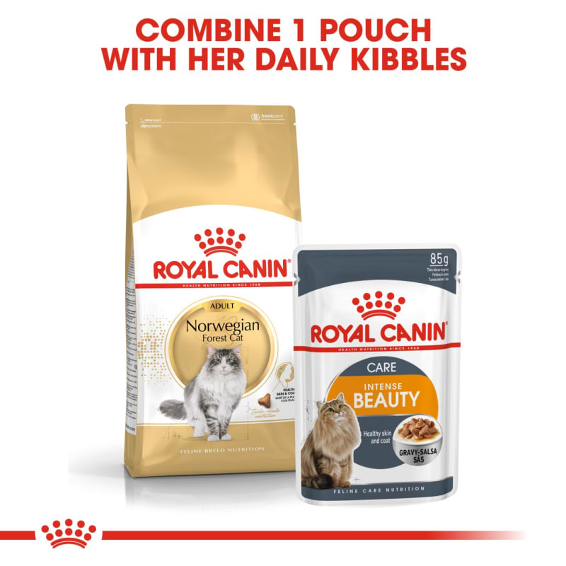 Royal canin deals norwegian forest cat