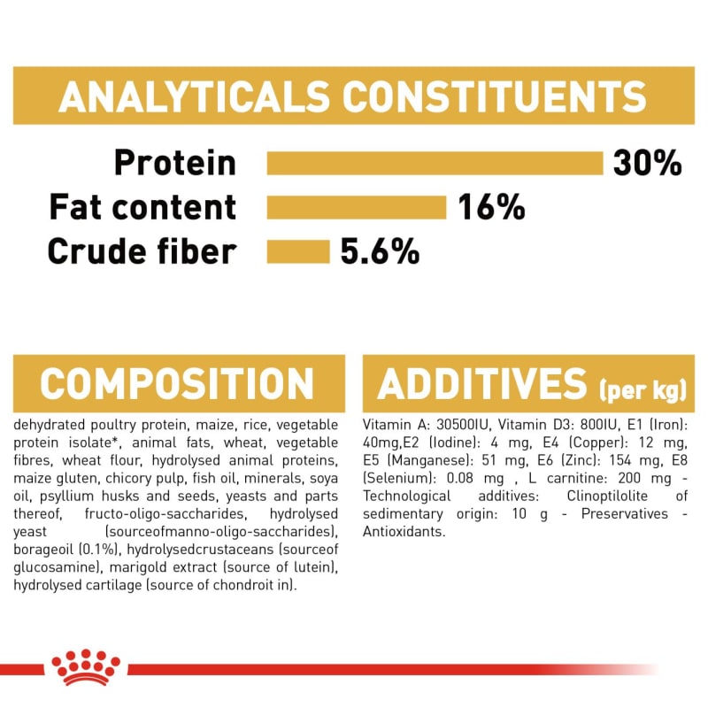 Royal canin norwegian sales forest cat food