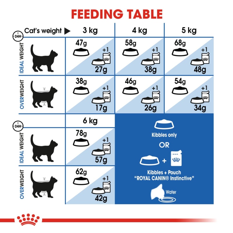 Royal Canin Indoor Appetite Control Pet Supermarket