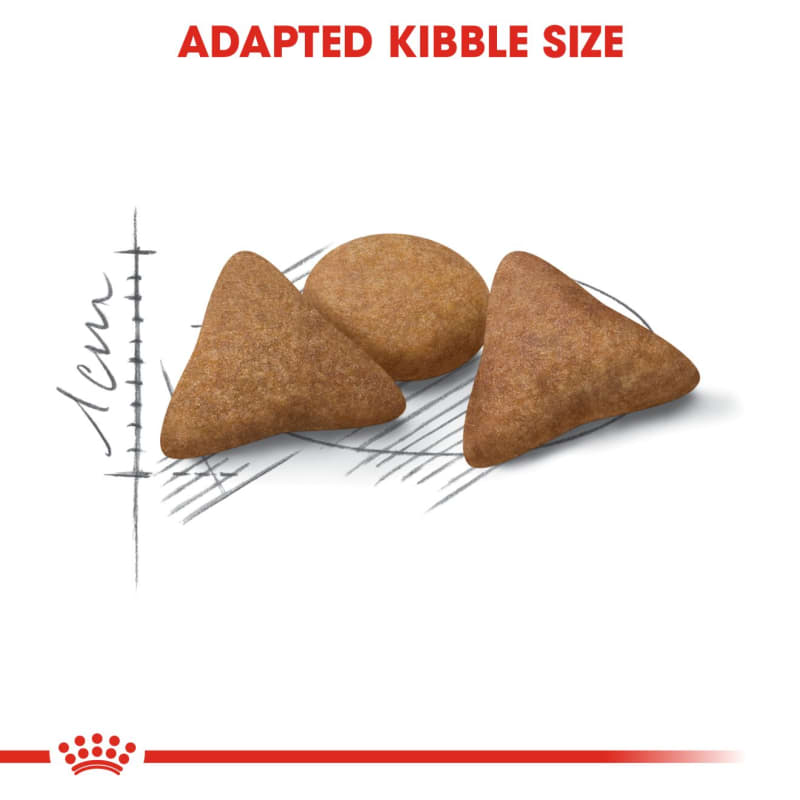 Royal canin indoor dog food top