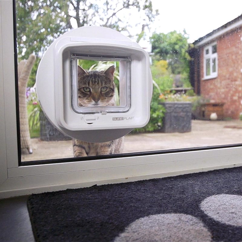 Best microchip cat shop flap 2018