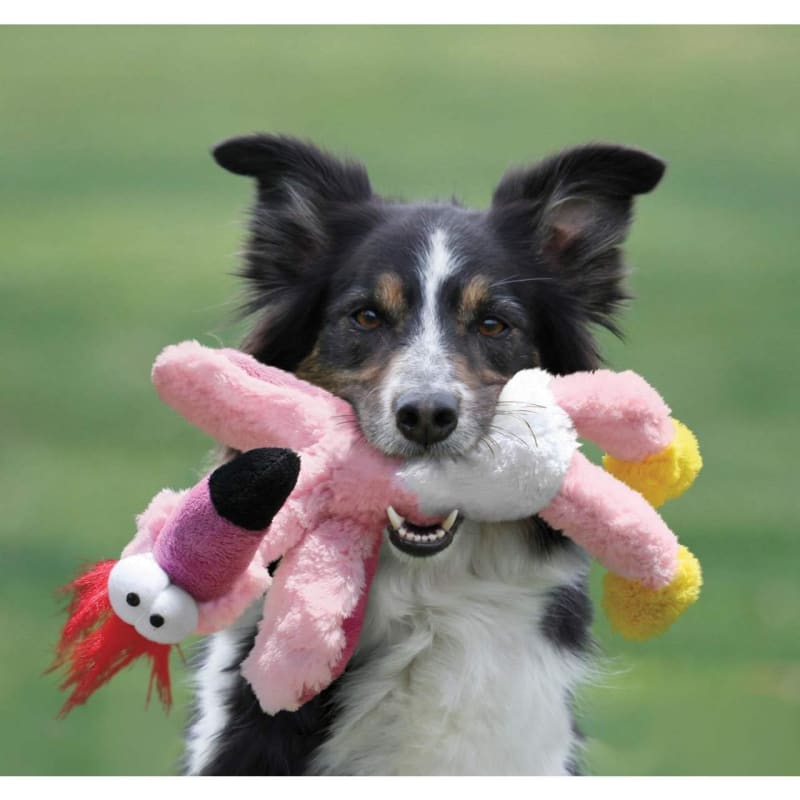 KONG Wild Knots Bird Dog Toy Pet Supermarket