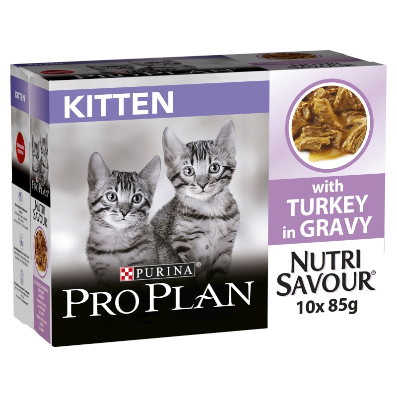 Pro plan can cat food outlet