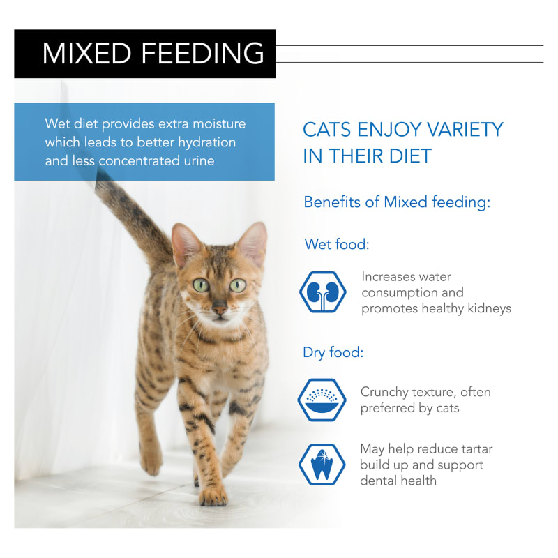 Liquivite cat food deals