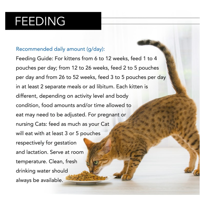 Purina Pro Plan NutriSavour Kitten Pet Supermarket