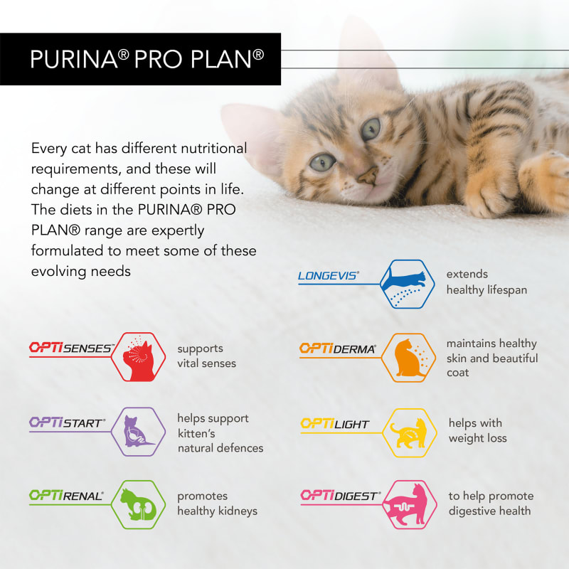 Pro plan shop delicate cat food