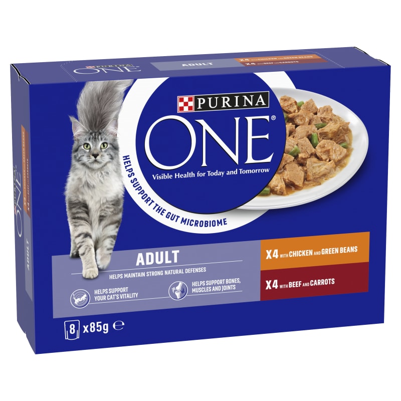 Next day delivery cat food online