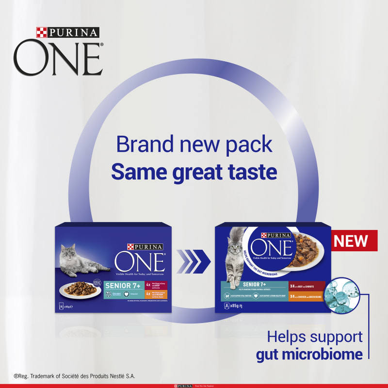 Purina one senior wet cat food discount