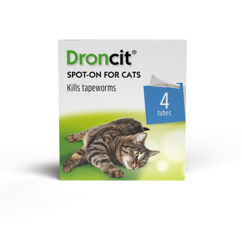Tapeworm meds for cats over the counter online