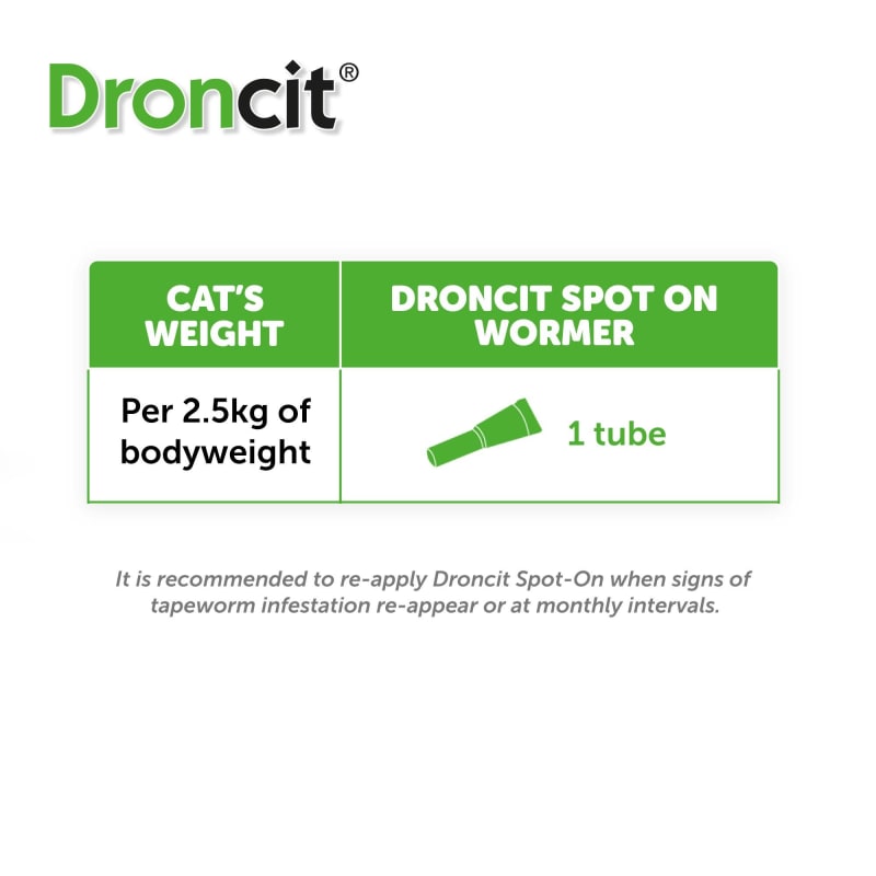 Droncit Spot On Tapewormer for Cats Pet Supermarket