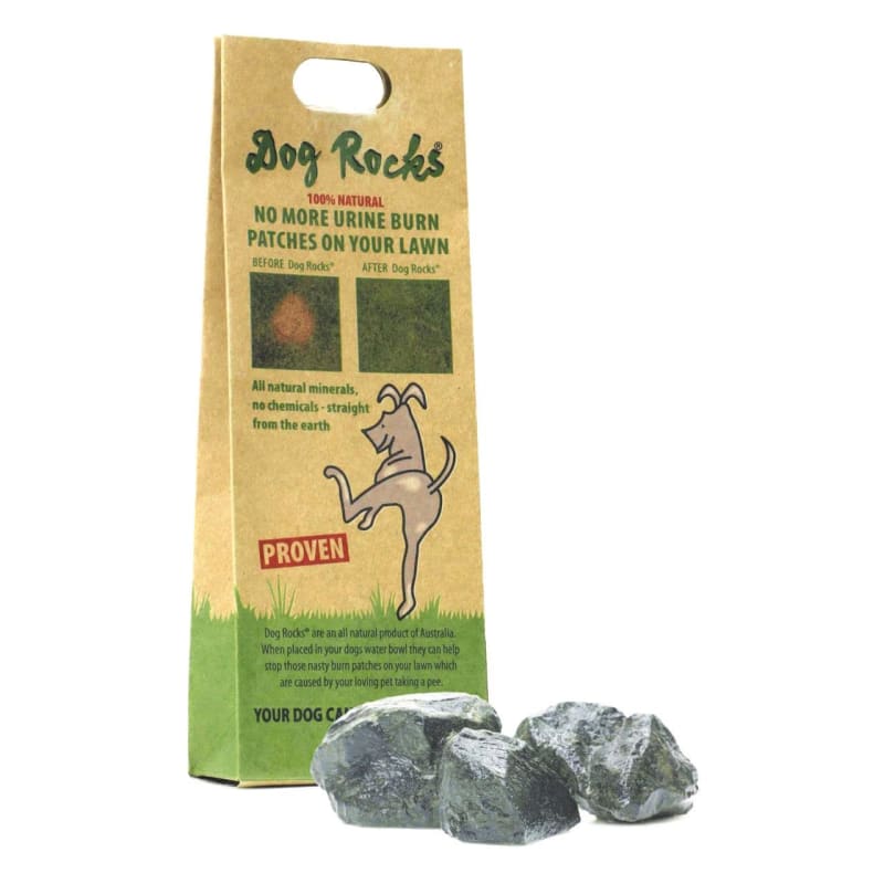 What are dog rocks shop