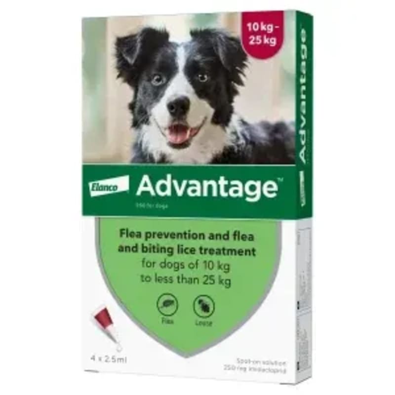 Supermarket new arrivals flea treatment
