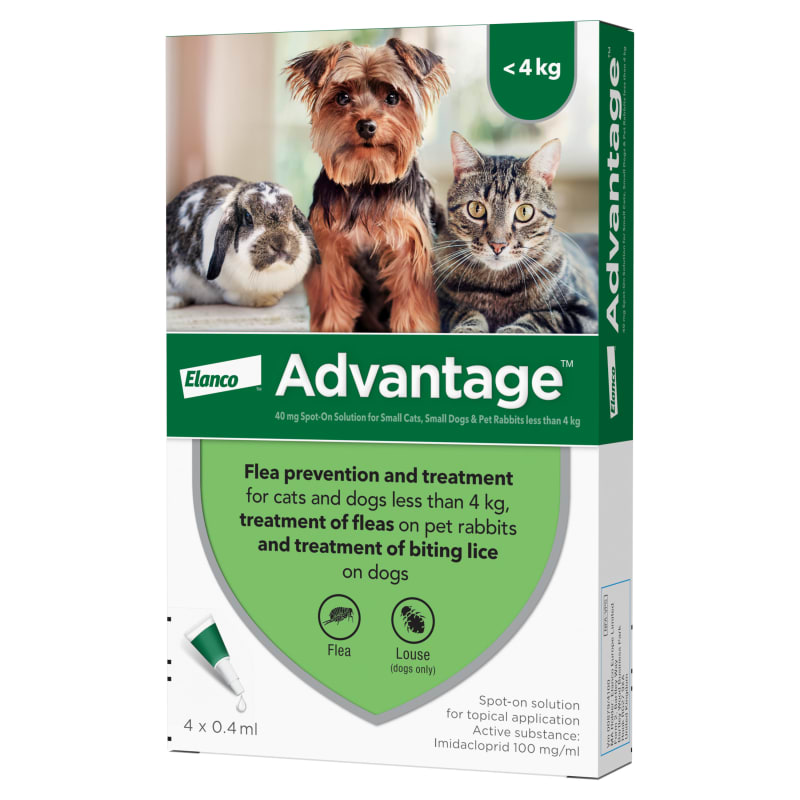 Effective flea treatment for cats outlet