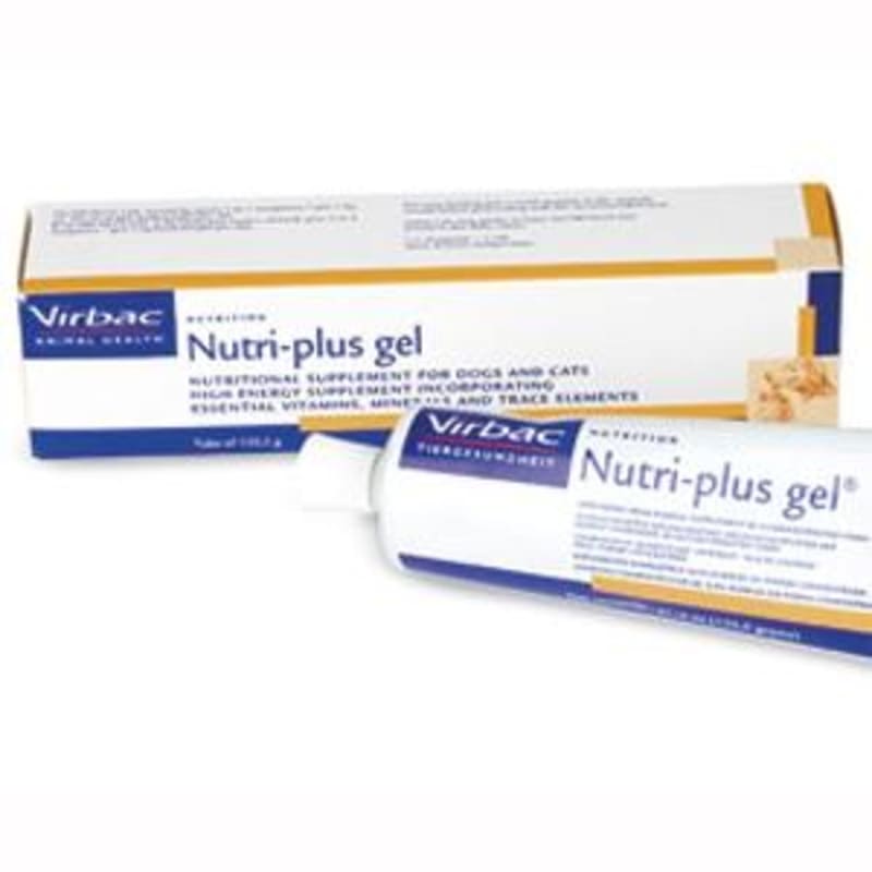 Nutri gel for cats cheap