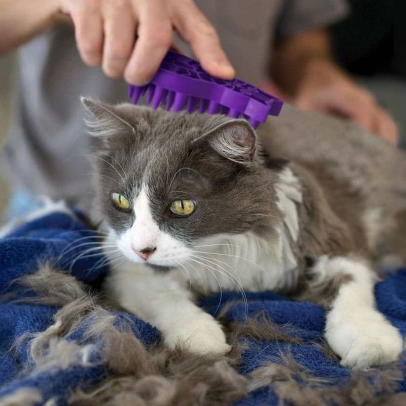 Purple shop cat brush