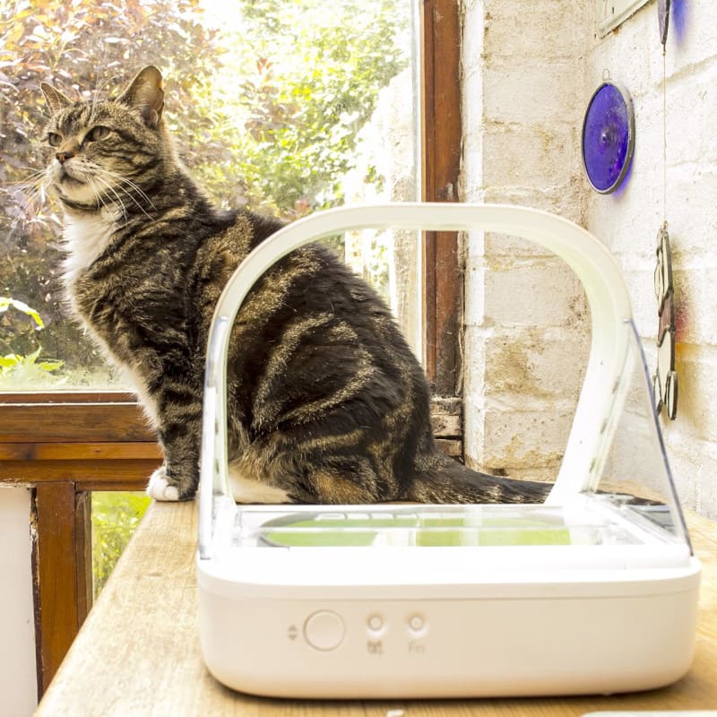 Microchip activated cat feeder best sale