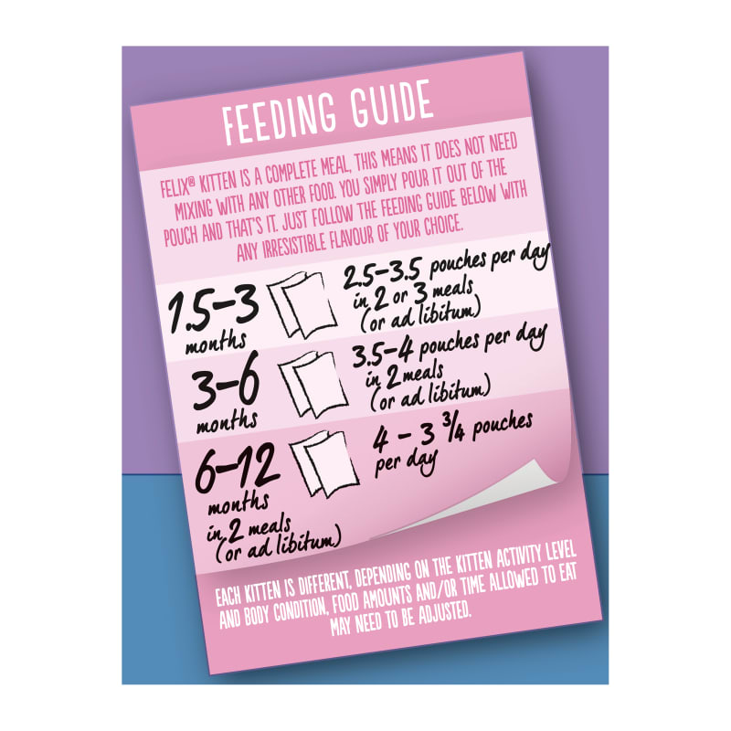 Felix kitten feeding guide new arrivals
