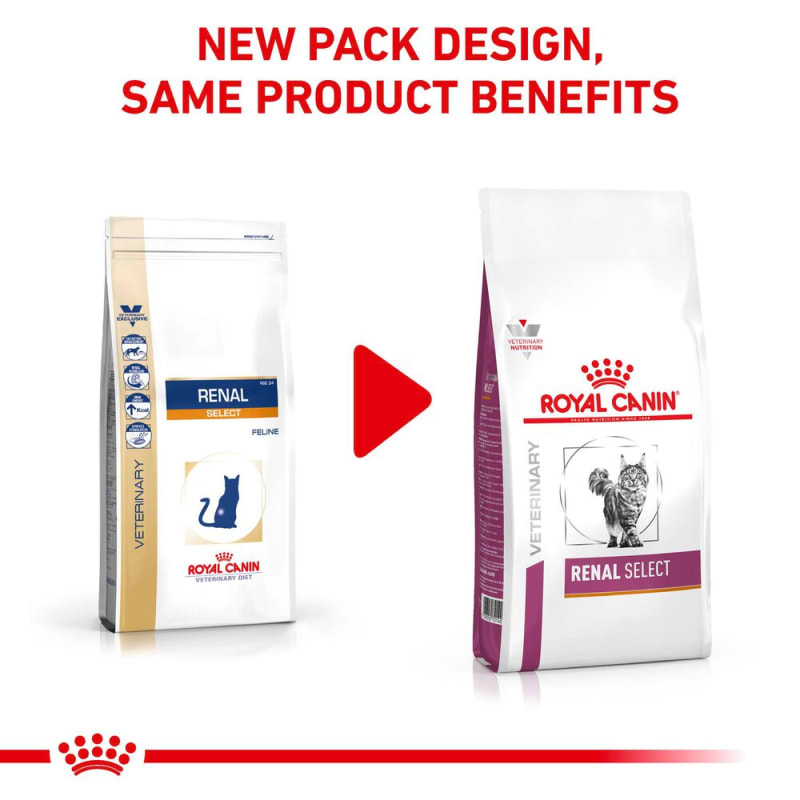 Royal canin renal palatability pack sale