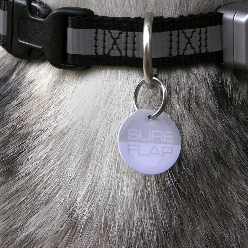 Sureflap dog cheap