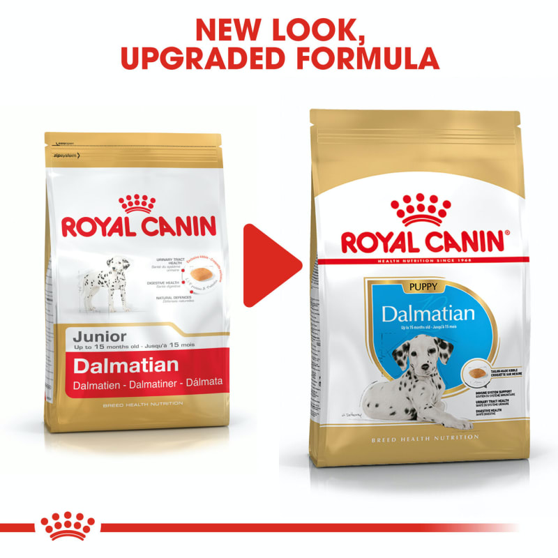 Royal canin dalmatian puppy store