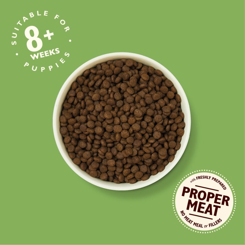 Lily s Kitchen Grain Free Puppy Dry Pet Supermarket