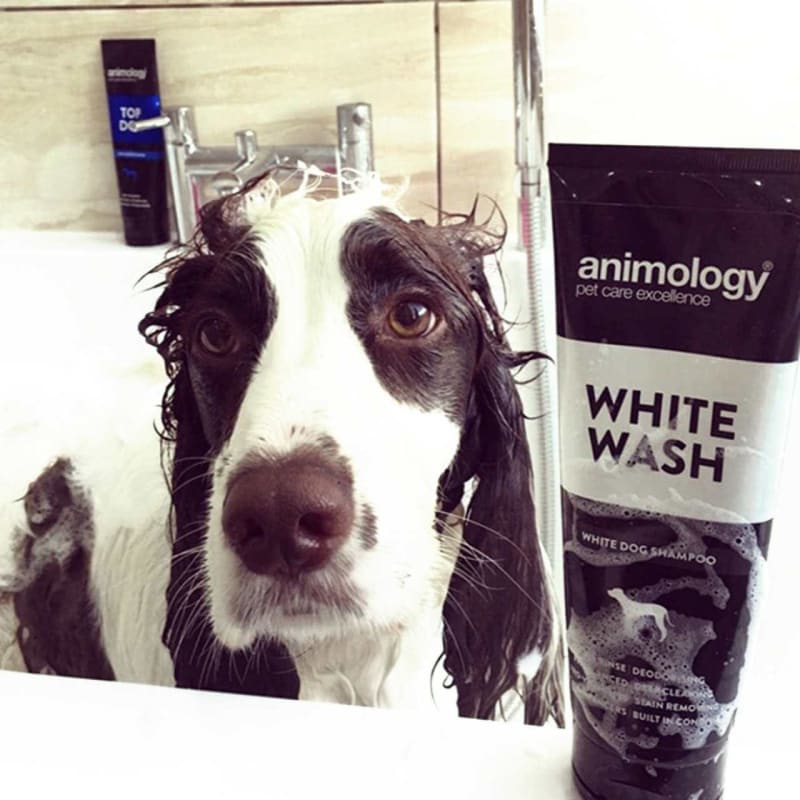 Animology white wash shampoo hot sale