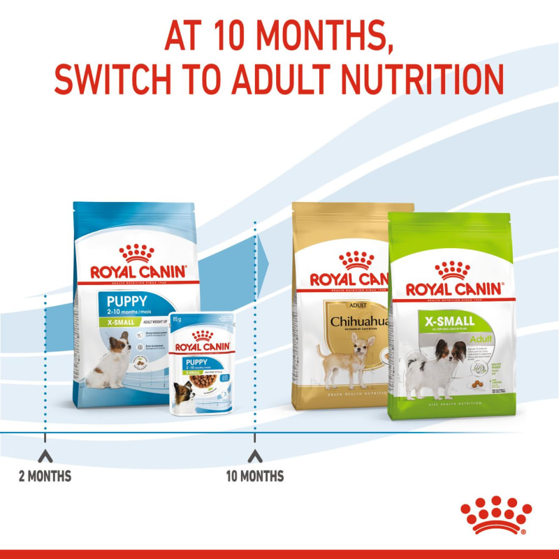 Royal canin x sale small