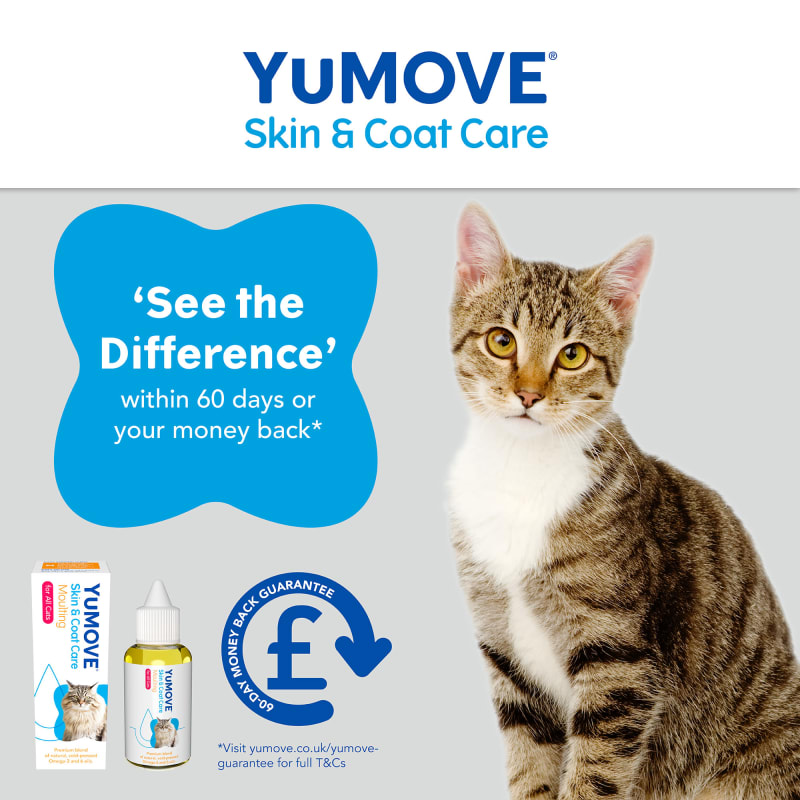 Care 4 cats clearance